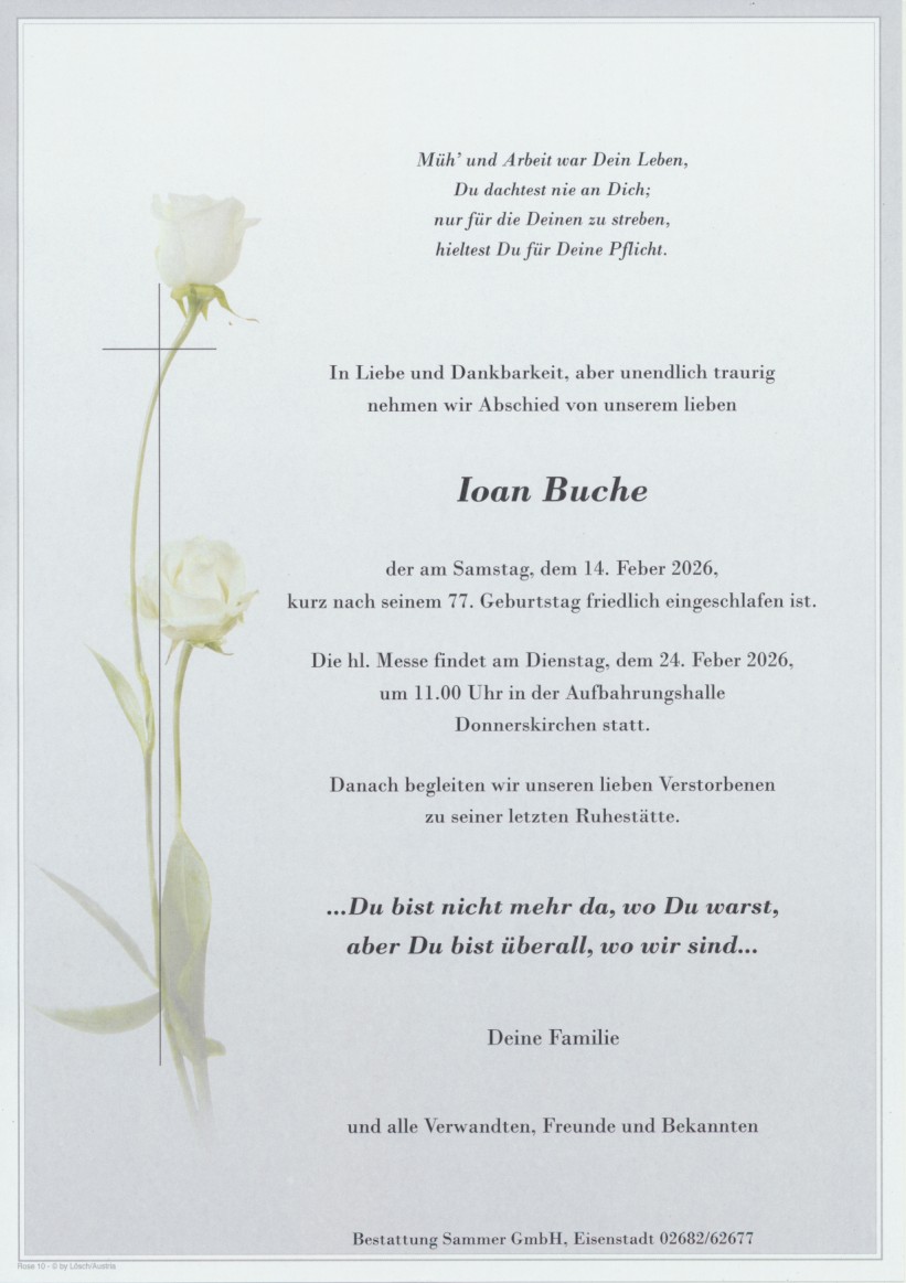 Bestattung Sammer Eisenstadt 4 Buche Ioan 14022026